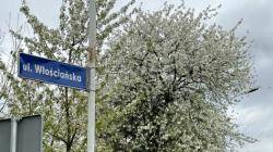 wloscianska-wymiana-sieci